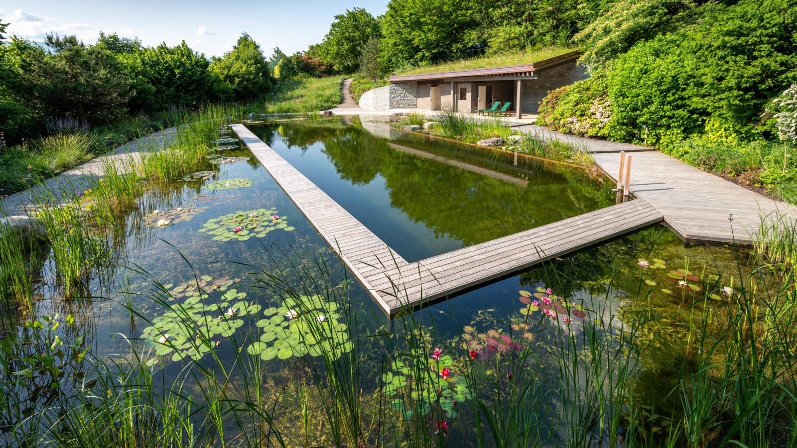 Schwimmteich Schleswig-Holstein und Hamburg